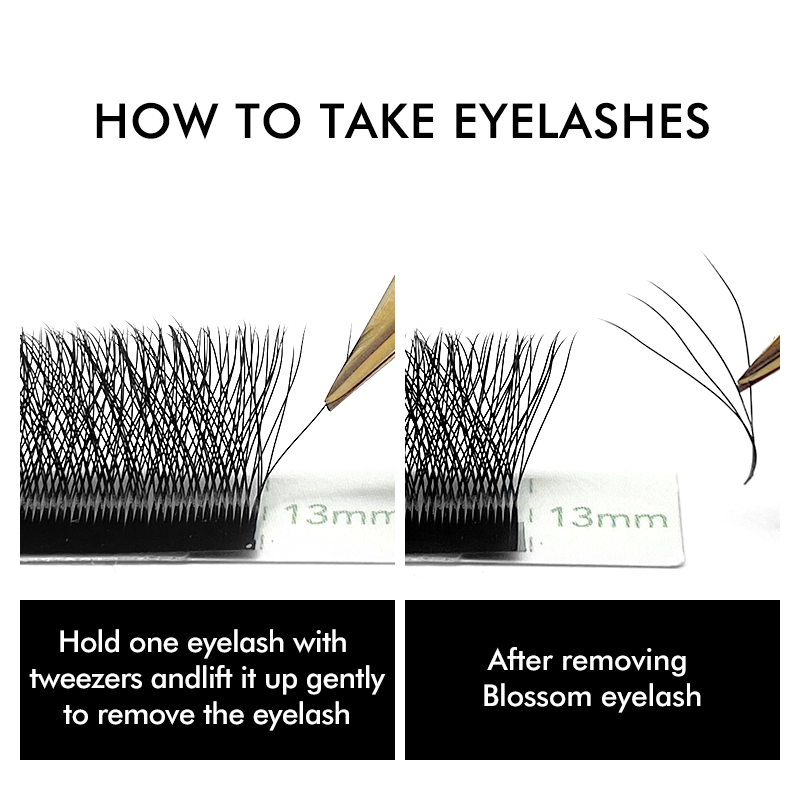 NATUHANA W-Shaped 4D 5D Volume - Eyelash Extension For Asian Eyes 评论和价格