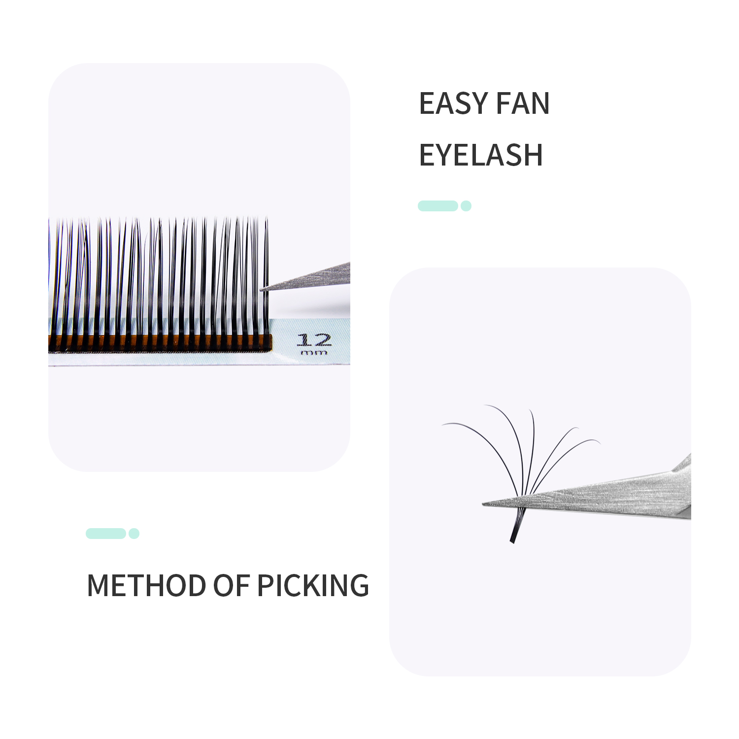 GLAMLASH 5D Flower Lashes Volu - Eyelash Extension Anime Style 评论和价格