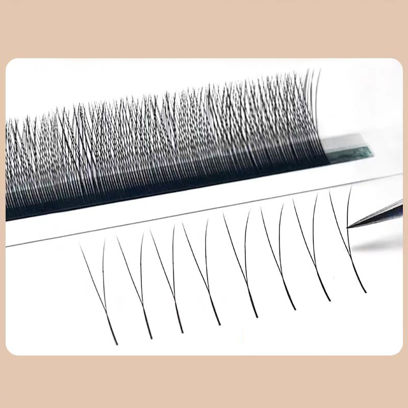 MARIA 2D Y Shape Eyelashes Han - Eyelash Extension For Asian Eyes 评论和价格